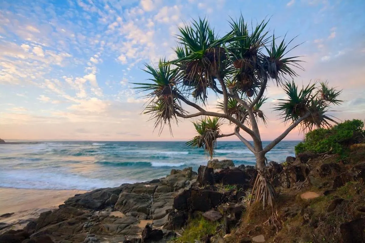 Tiny Comfy Flat With Bikes Daire Coolum Beach Avustralya